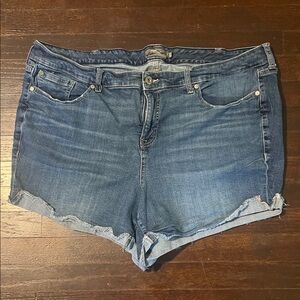 torrid Denim Blue Women's Shorts Size 24